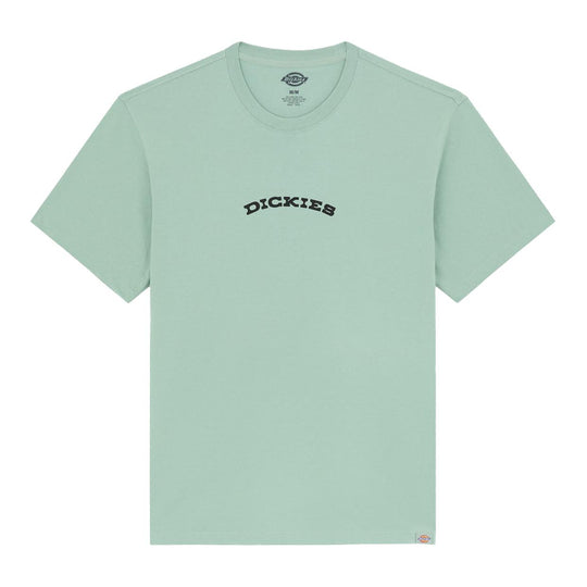 T-shirt Uomo Dickies Outdoor Verde Acqua