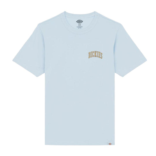 T-shirt Uomo Dickies S/S Aitkin Azzurro