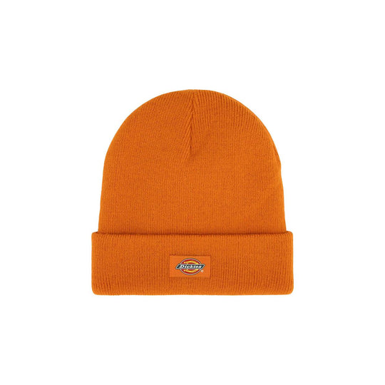 Cappello Uomo Dickies Gibsland Beanie Arancione